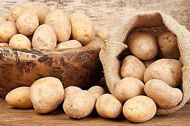 EA Play会员今日可以提前试玩《FIFA 22》